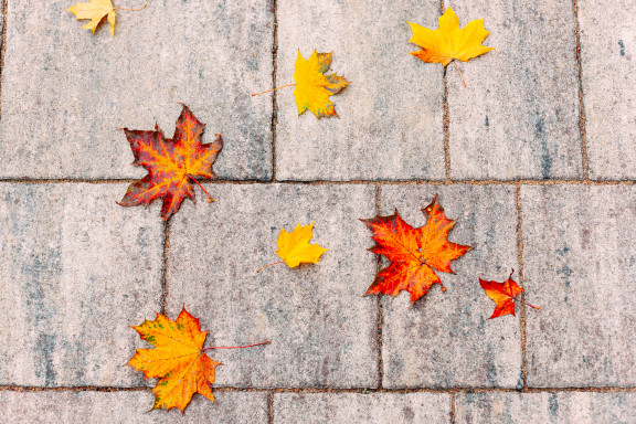Б.20.Псм.6 «Антара»