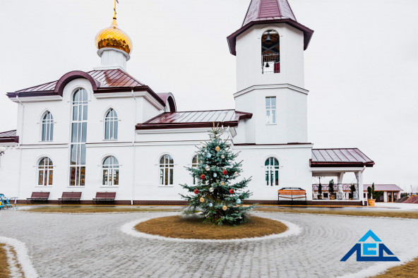 Поздравляем с наступающим православным Рождеством!